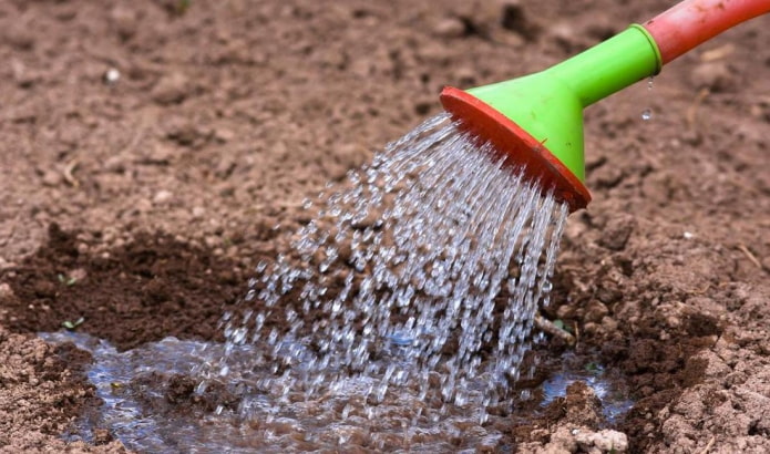 Acqua bollente