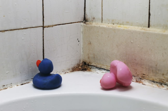 Come eliminare la muffa dal bagno?