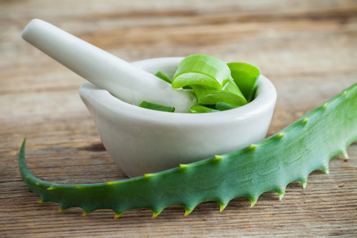 succo di aloe