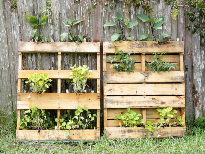 Pallet con verdure vicino alla recinzione