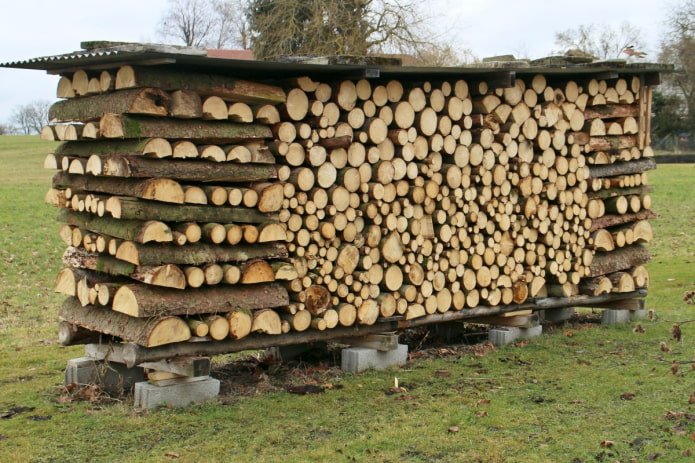 Catasta di legna coperta di ardesia