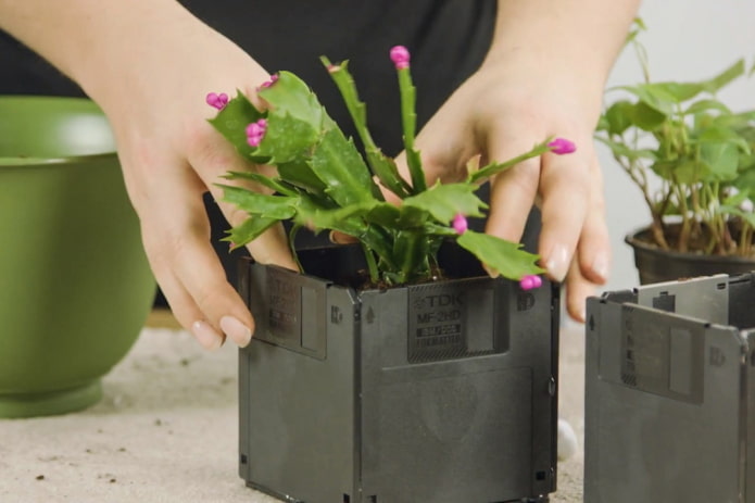 Posizionare un fiore