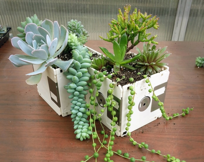 Vaso di fiori fatto di floppy disk bianchi