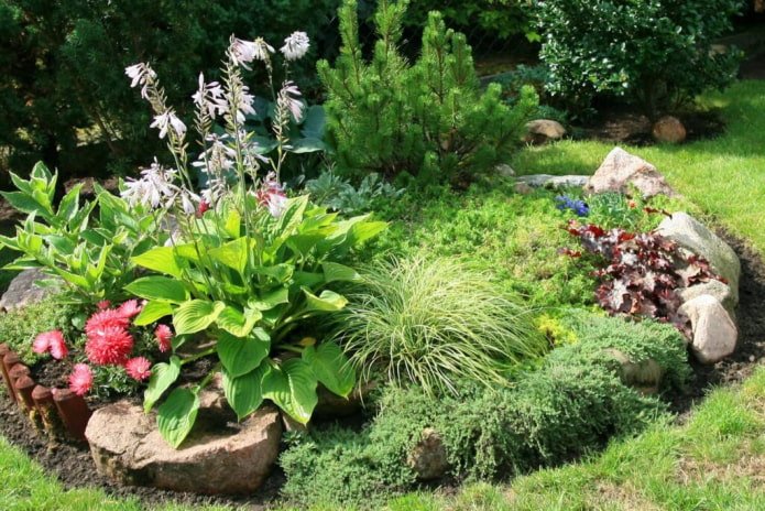 giardino roccioso