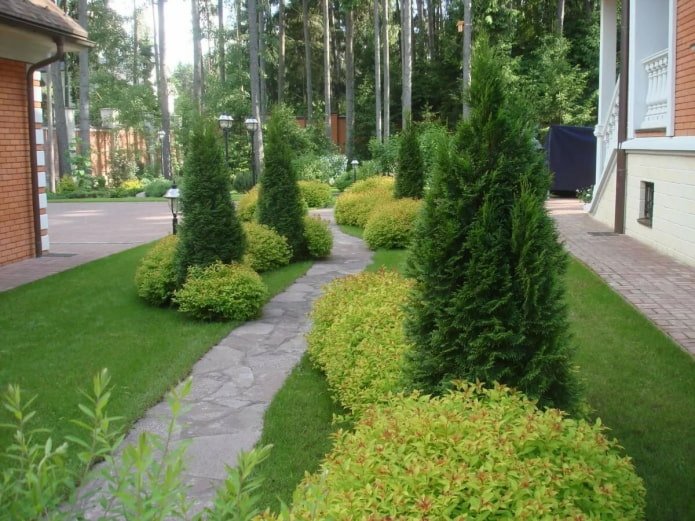 sentiero del giardino delimitato da gruppi di conifere