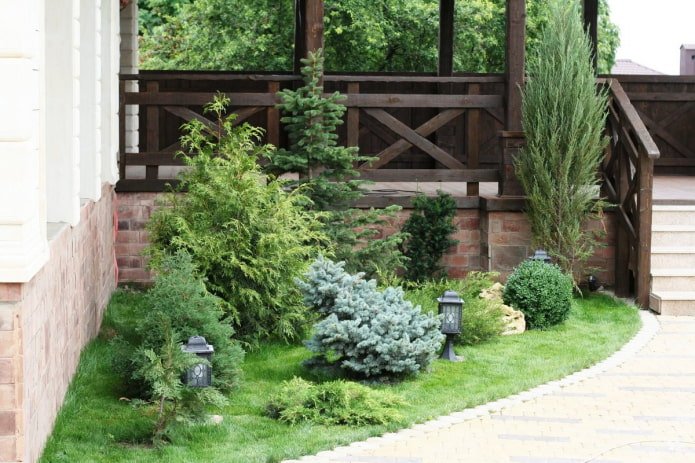 giardino anteriore di conifere con illuminazione