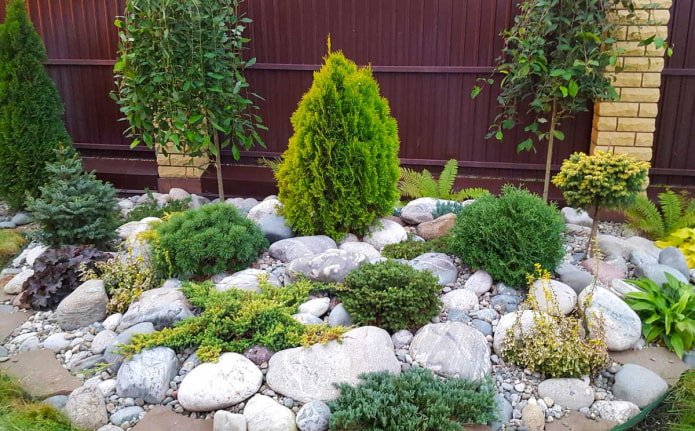 giardino roccioso arrotondato con conifere