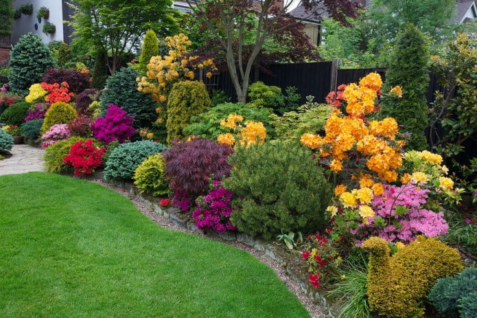 mixborder con conifere e fiori