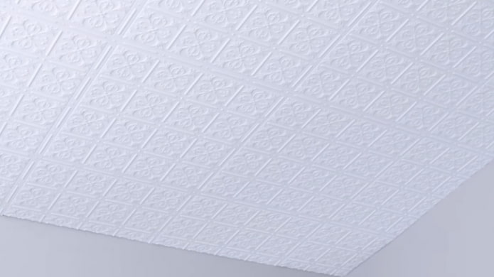 soffitto finito