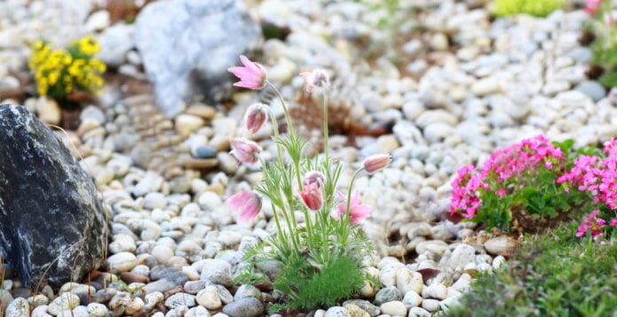 giardino roccioso primaverile