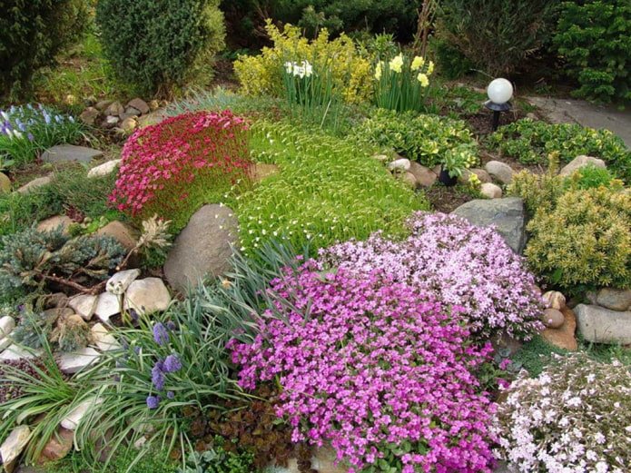giardino roccioso estivo