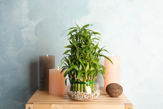 composizione decorativa con candele