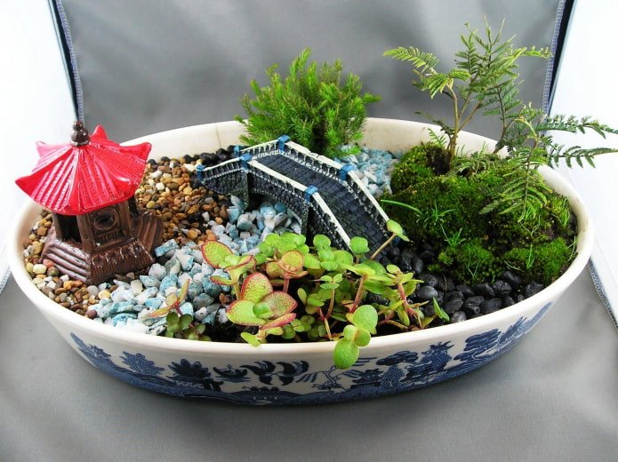 succulente con statuette