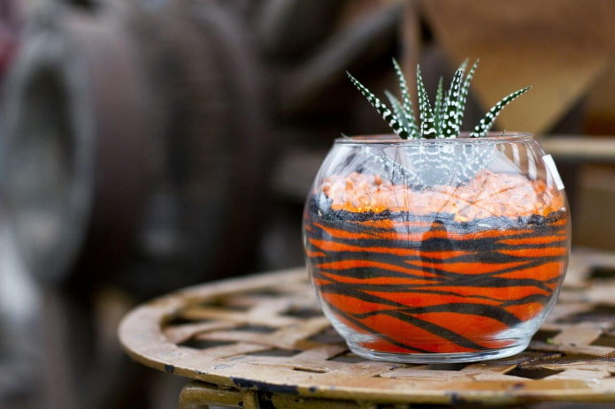 vaso con sabbia colorata