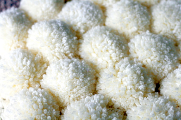 Cucire i pompon