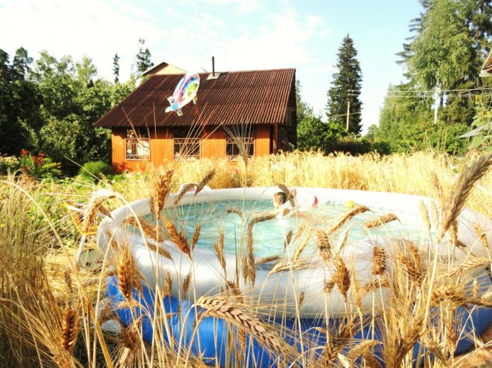 Piscina nel campo