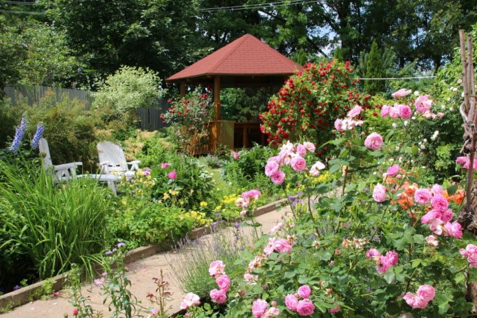Gazebo e rose