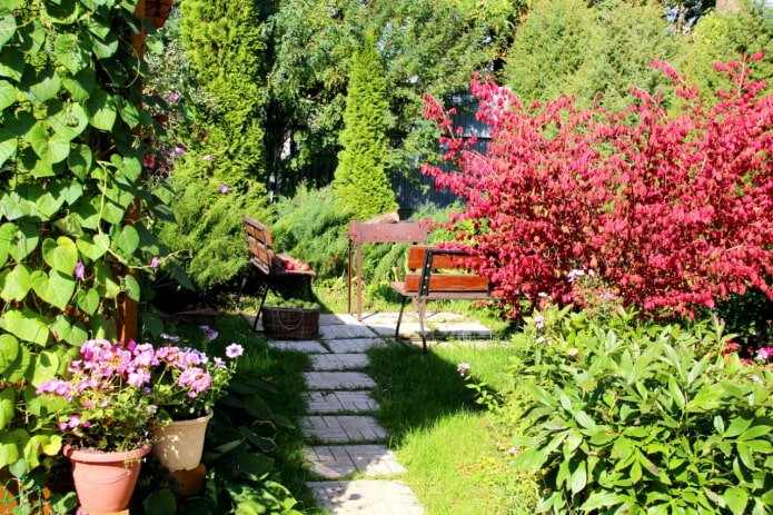 Thuja, barbecue e panchine