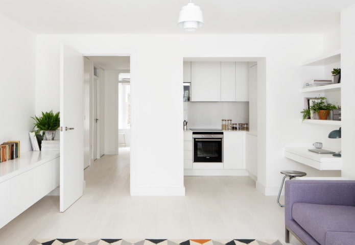cucina in una nicchia nell'interno del soggiorno