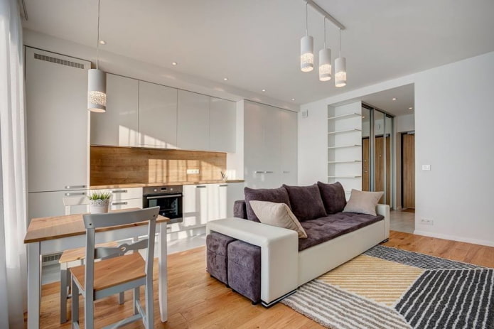 interno di cucina-studio con una partizione sotto forma di divano