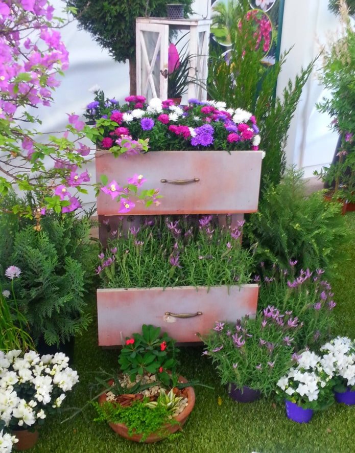 fiori in una cassettiera all'esterno