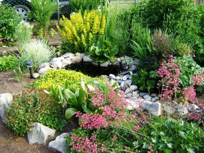 Piccolo stagno in giardino