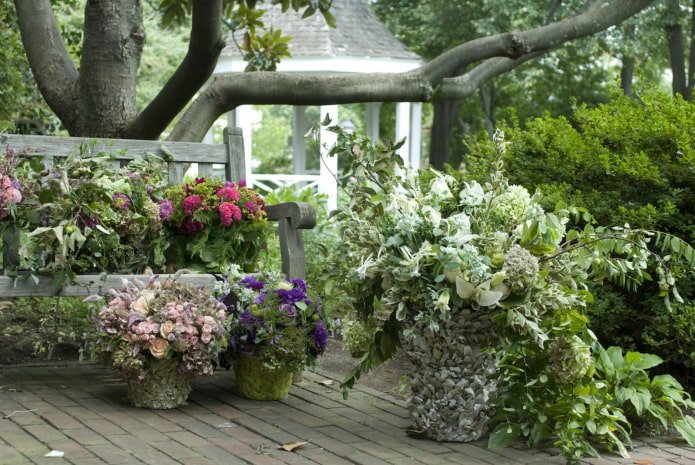 fiori da giardino in stile provenzale
