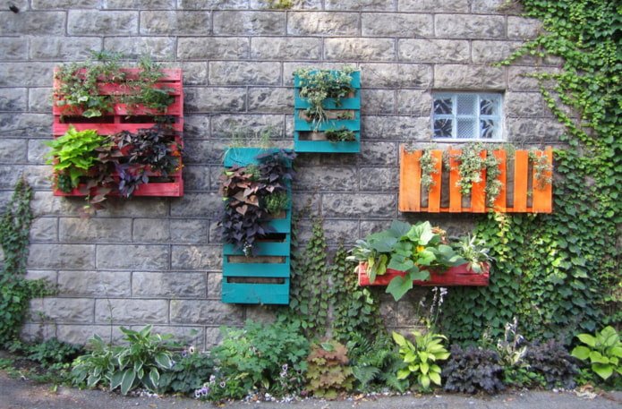 Giardini verticali
