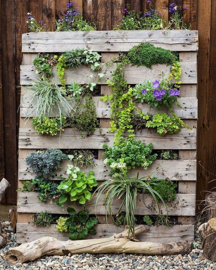 Giardino verticale