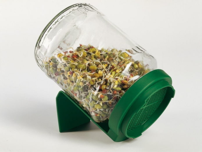 barattolo per la germinazione