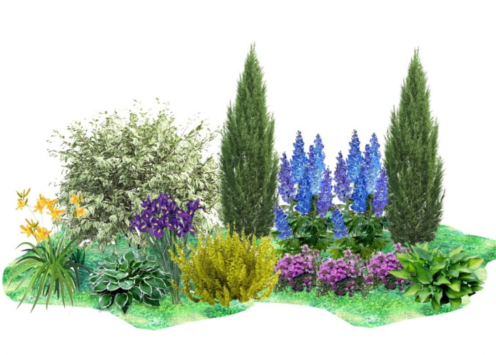 schema mixborder