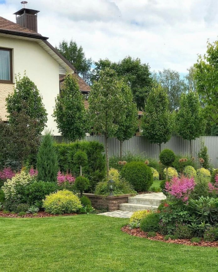 alberi in un mixborder