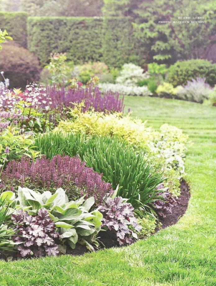 piante basse per un mixborder