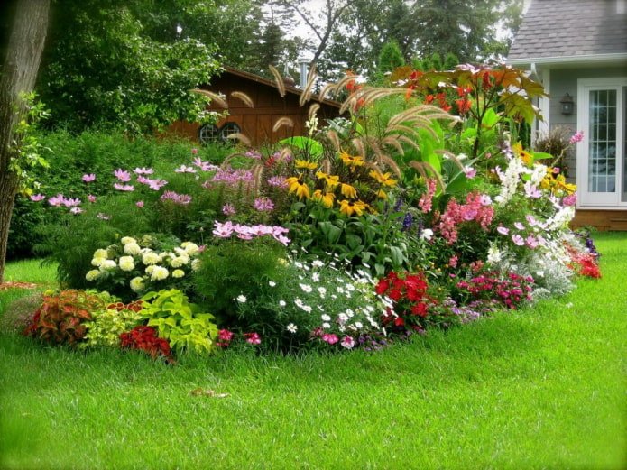 fiori in un mixborder