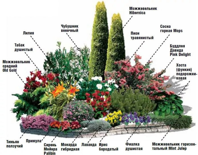 mixborder con lillà