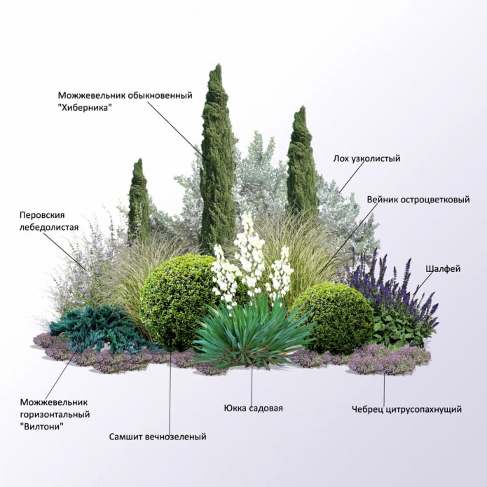 mixborder di conifere