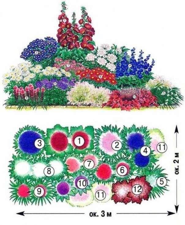 mixborder di fiori