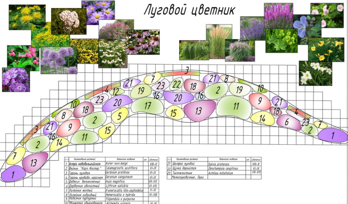 mixborder di fiori di prato