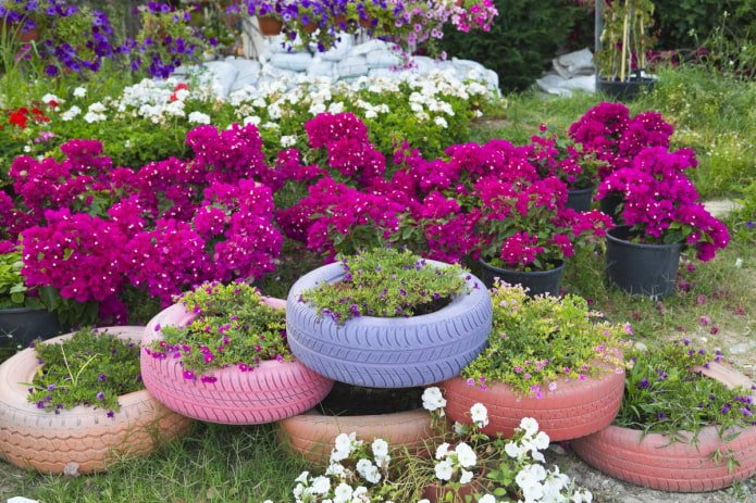 pneumatici colorati in giardino