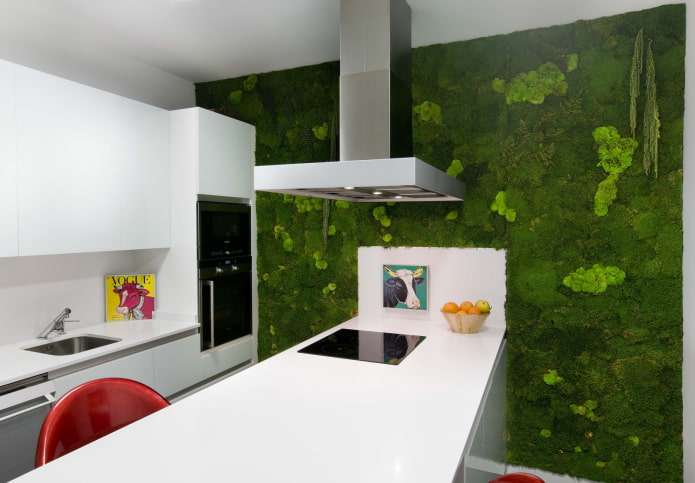parete verde in cucina
