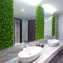 Muschio nell'interno-3