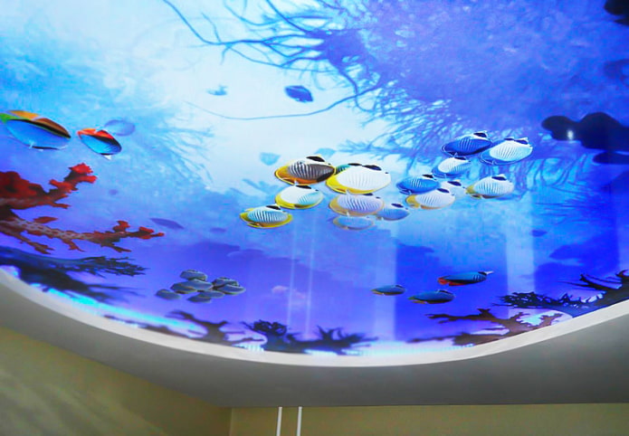 soffitto con stampa fotografica 3D che imita un acquario