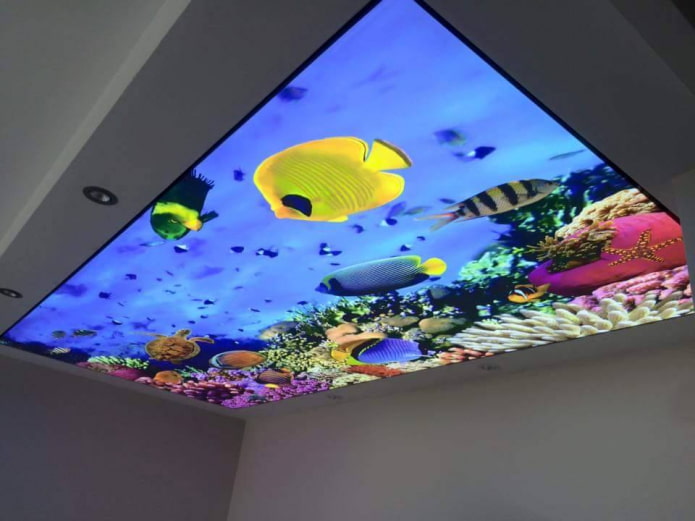 soffitto con stampa fotografica 3D che imita un acquario