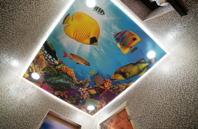 Acquario sul soffitto