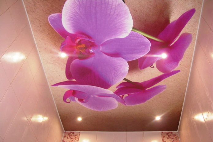 soffitto con l'immagine di orchidee