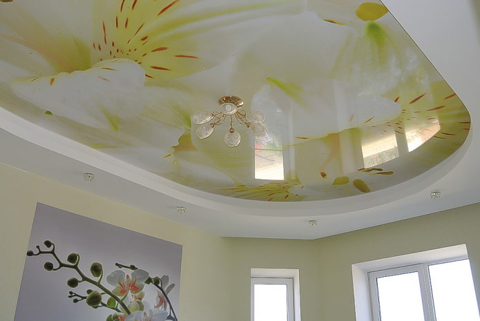 soffitto con fiori