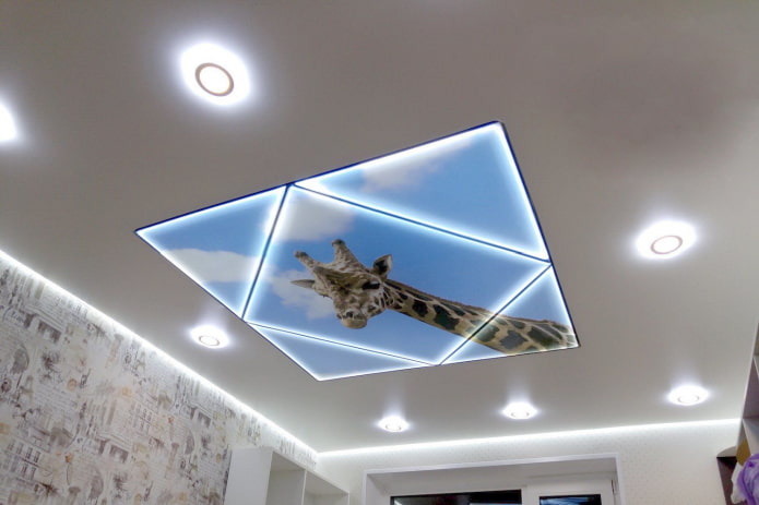 soffitto con una giraffa