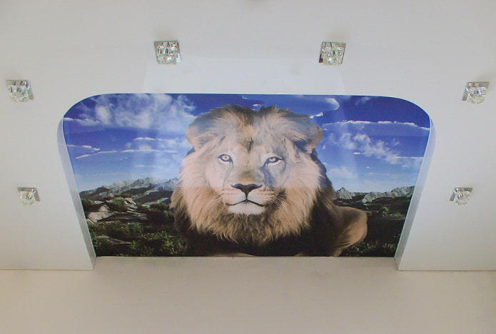 soffitto con un leone