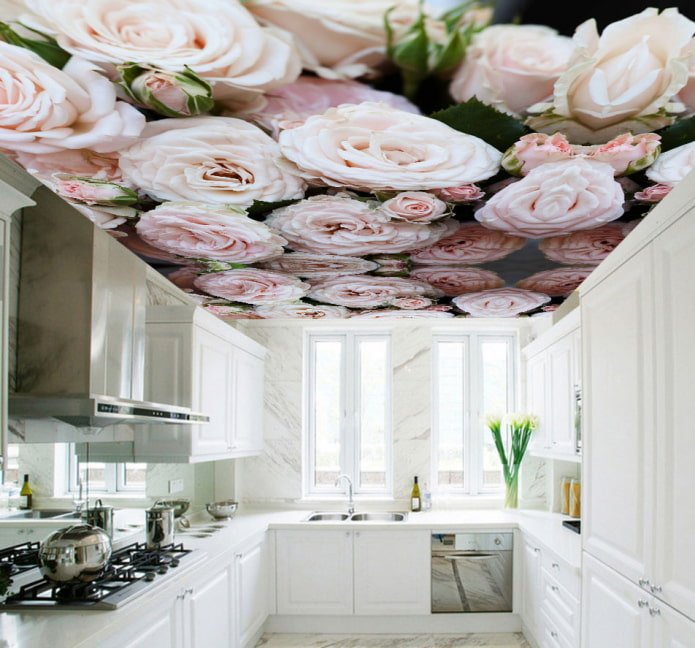 soffitto con immagine di fiori in cucina