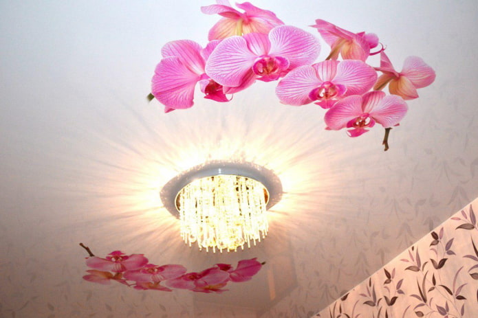tela tesa con immagine di orchidea